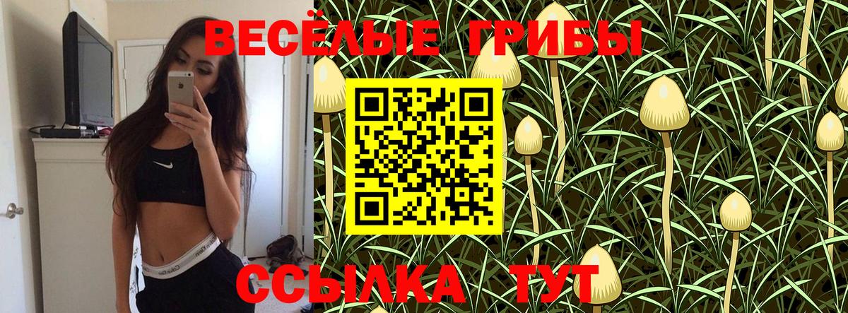 Галлюциногенные грибы Magic Shrooms Баксан