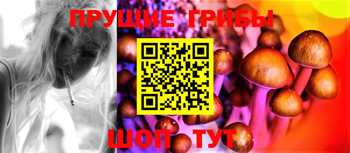 Галлюциногенные грибы GOLDEN TEACHER  Вход с VPN  Баксан  Псилоцибиновые грибы MAGIC MUSHROOMS 